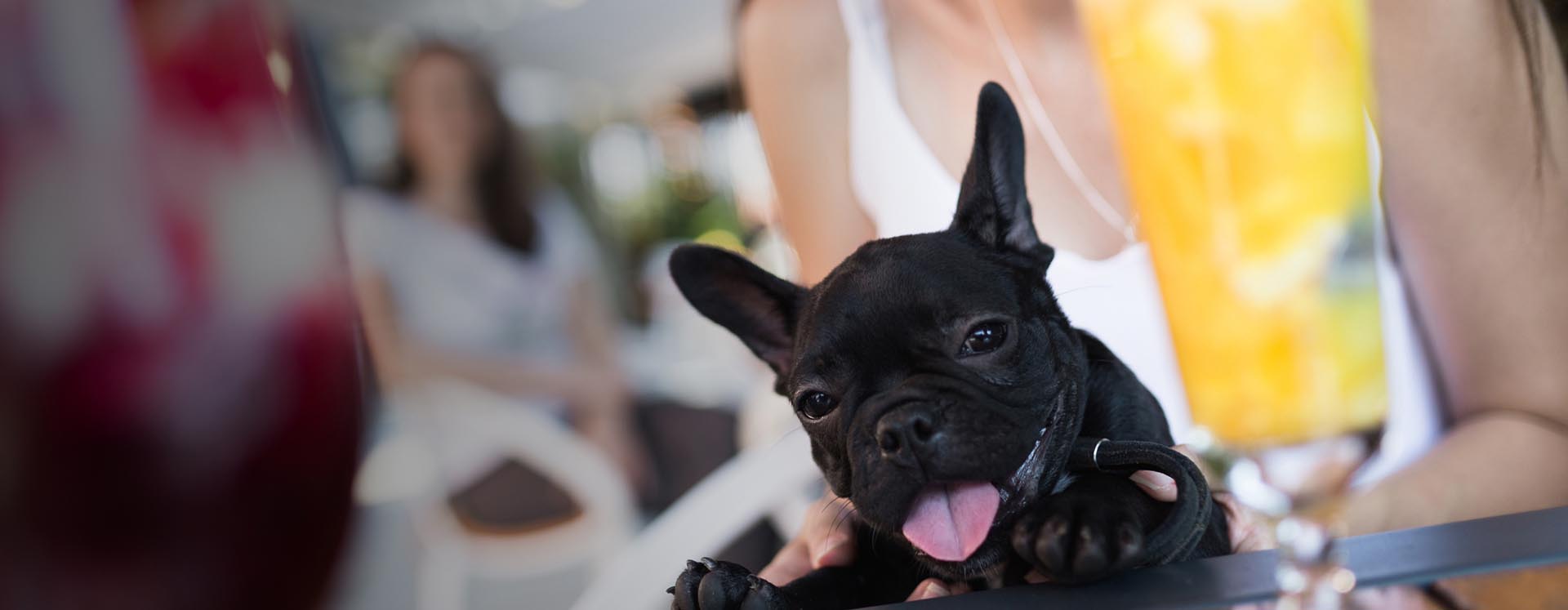 The dog days of summer have customers panting for a refreshment.